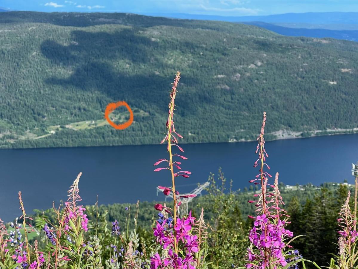 « Sofly Cottage », Le Charme Pur Noresund Luaran gambar